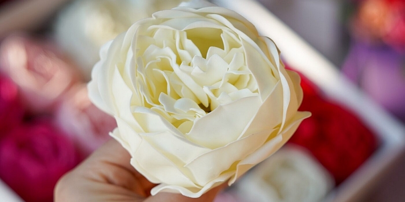 Soap bubbles flowers