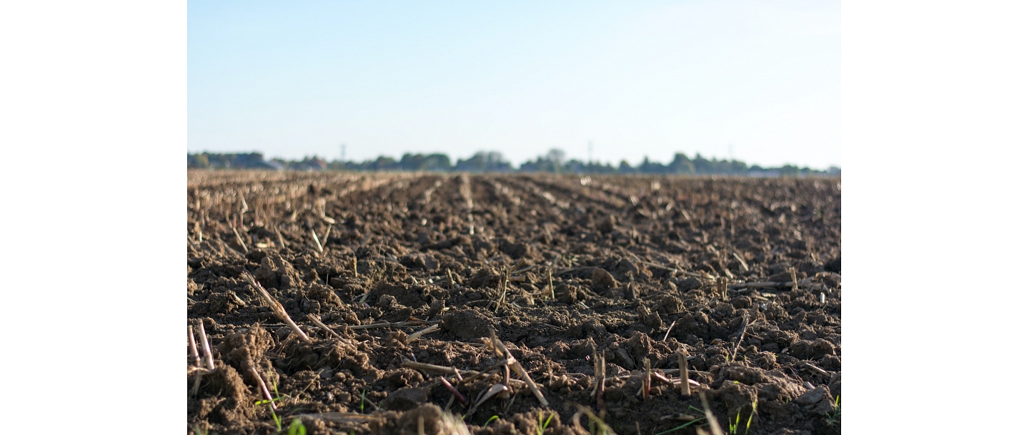 Purchase of agricultural land