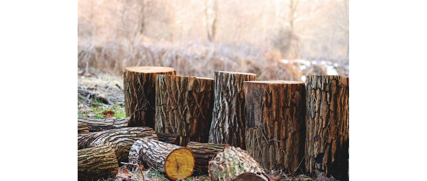 Buying of felling sites