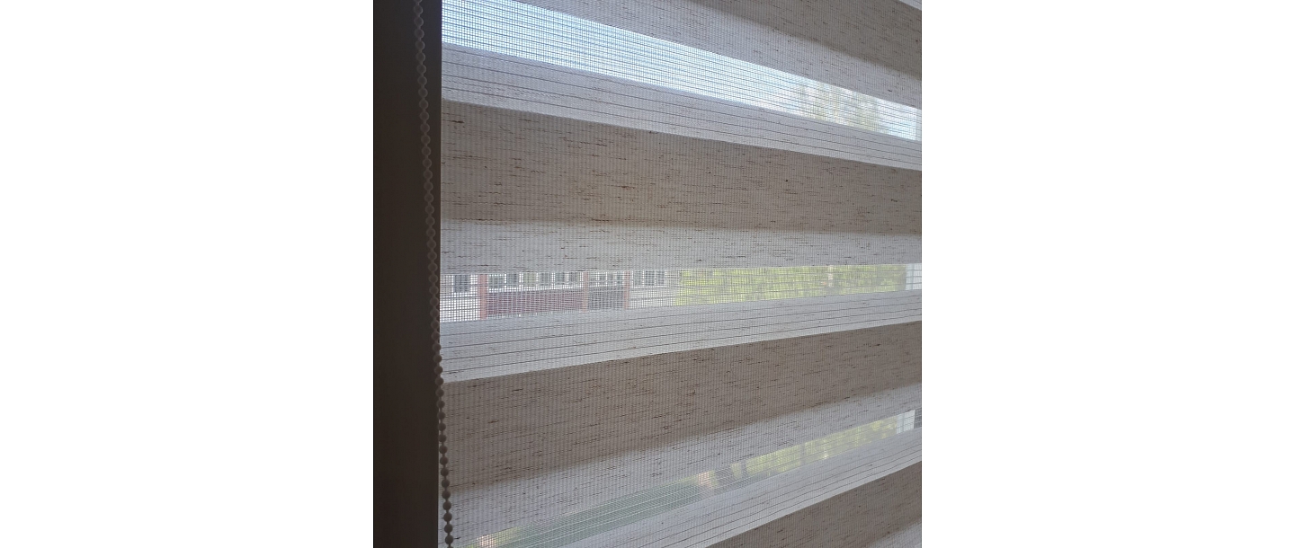 Day night blinds