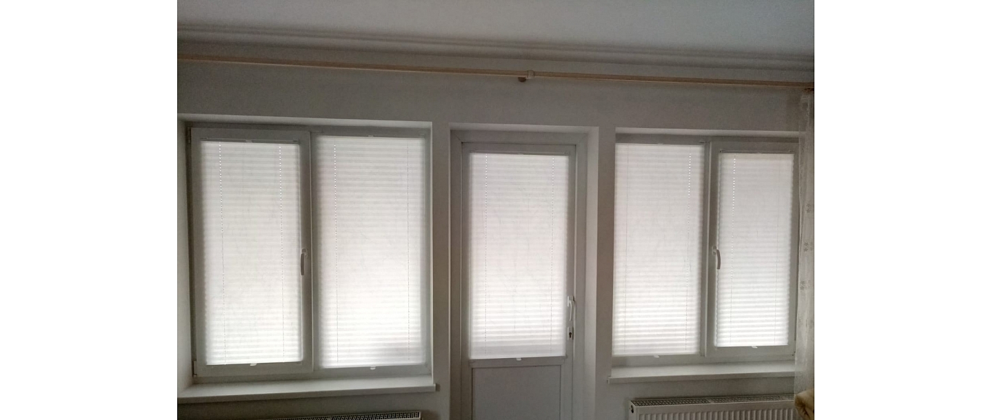 Pleated blinds