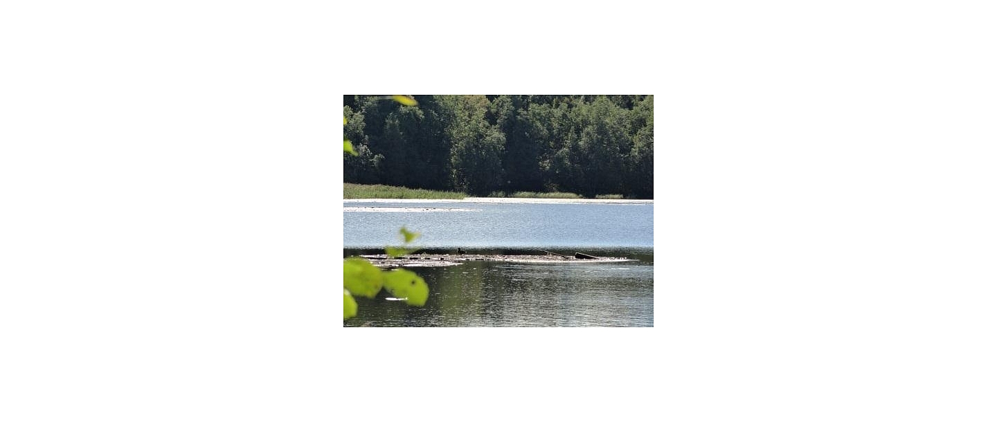 Lake Ilziņa with a floating island, Vestiena