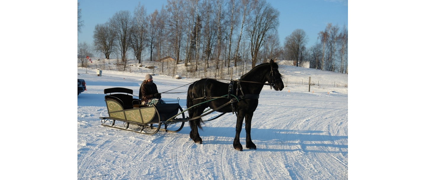 Driving with a sleigh Vestiena Stiklini