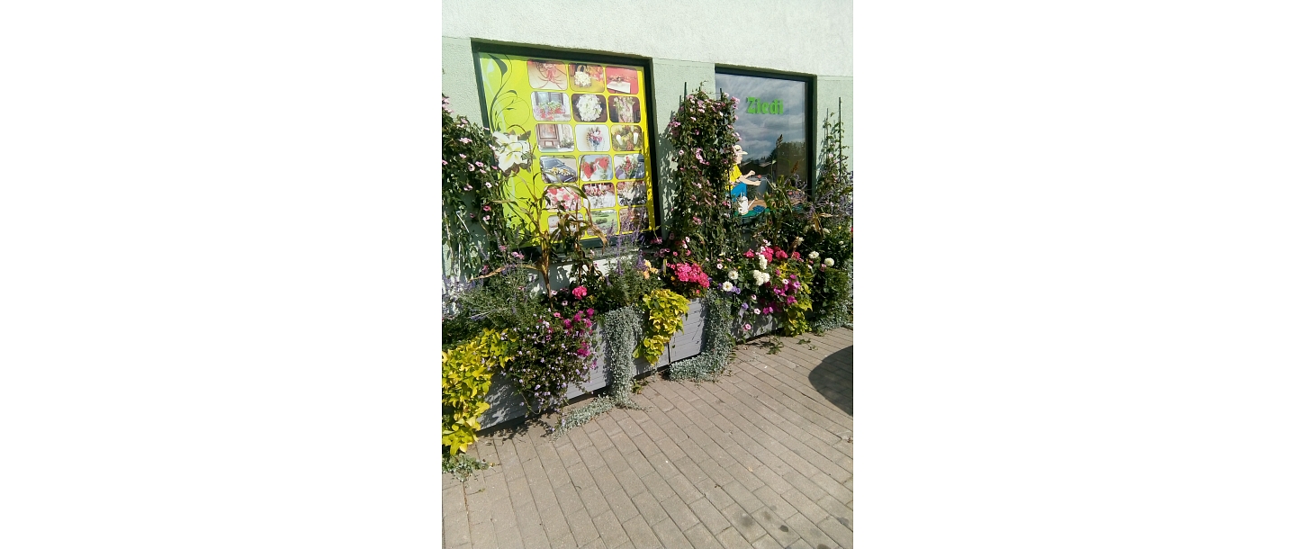 Ziedu veikals, individuālais darbs 