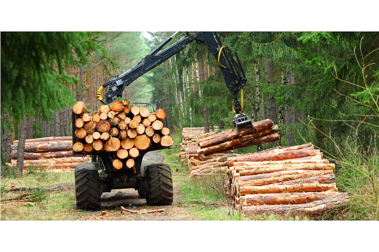 Woodworking