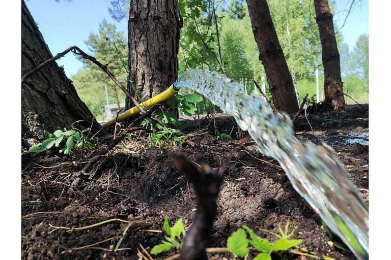 Borehole