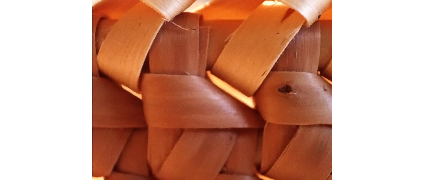 Ильмара Пинуми