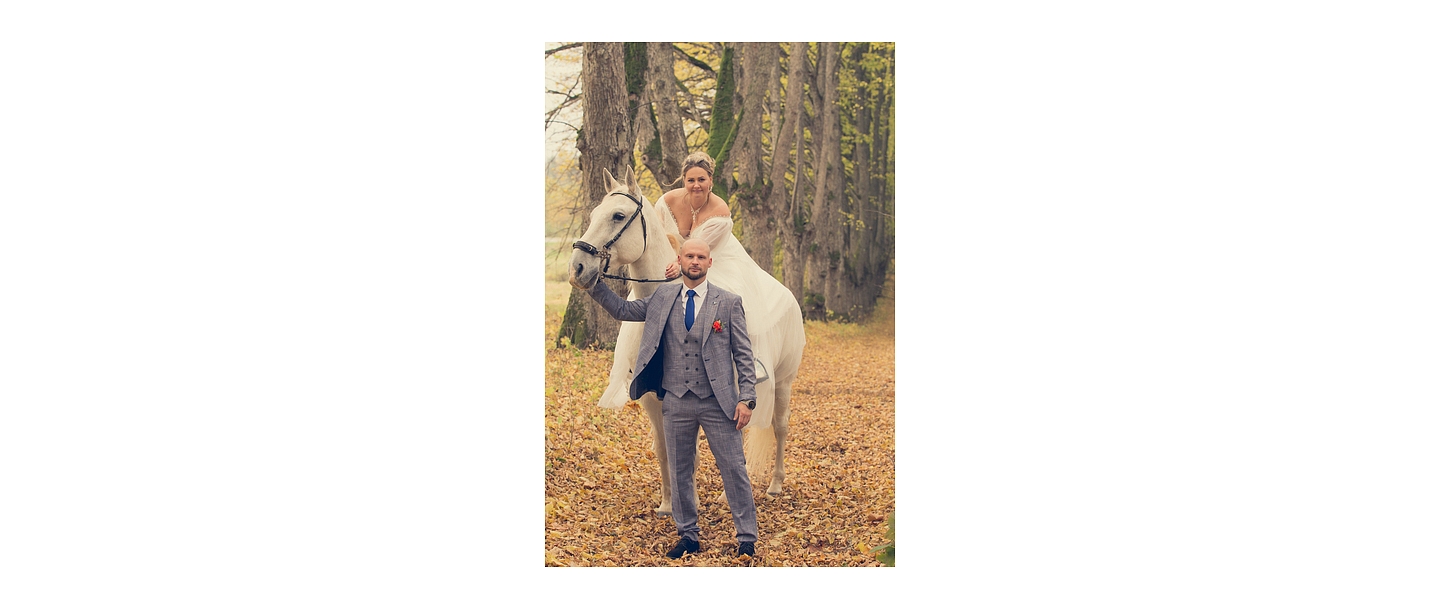 Wedding photoshoot with horses