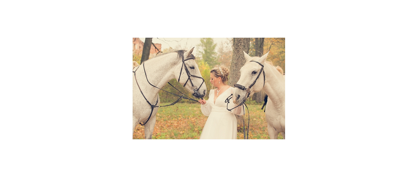 Photo session with horses