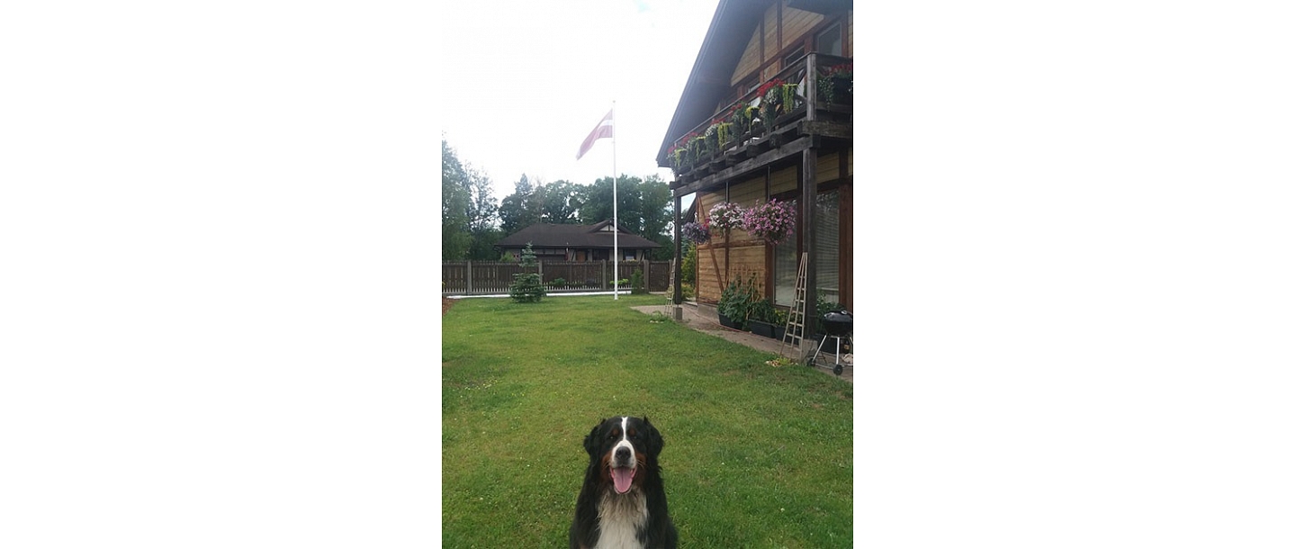 Latvian flag in the yard of a private house