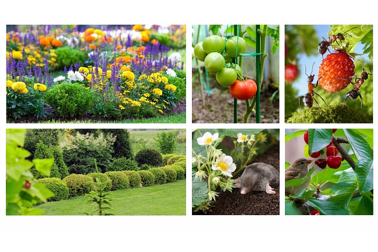 Products for the care of garden plants