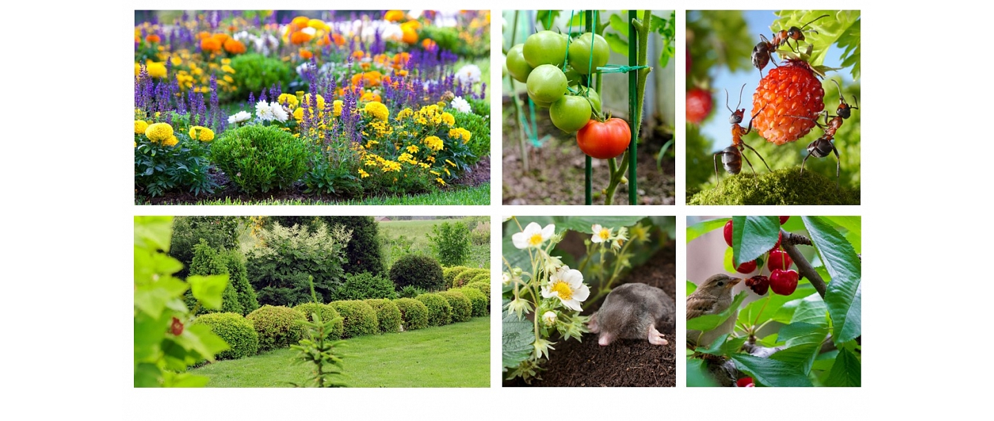 Products for the care of garden plants