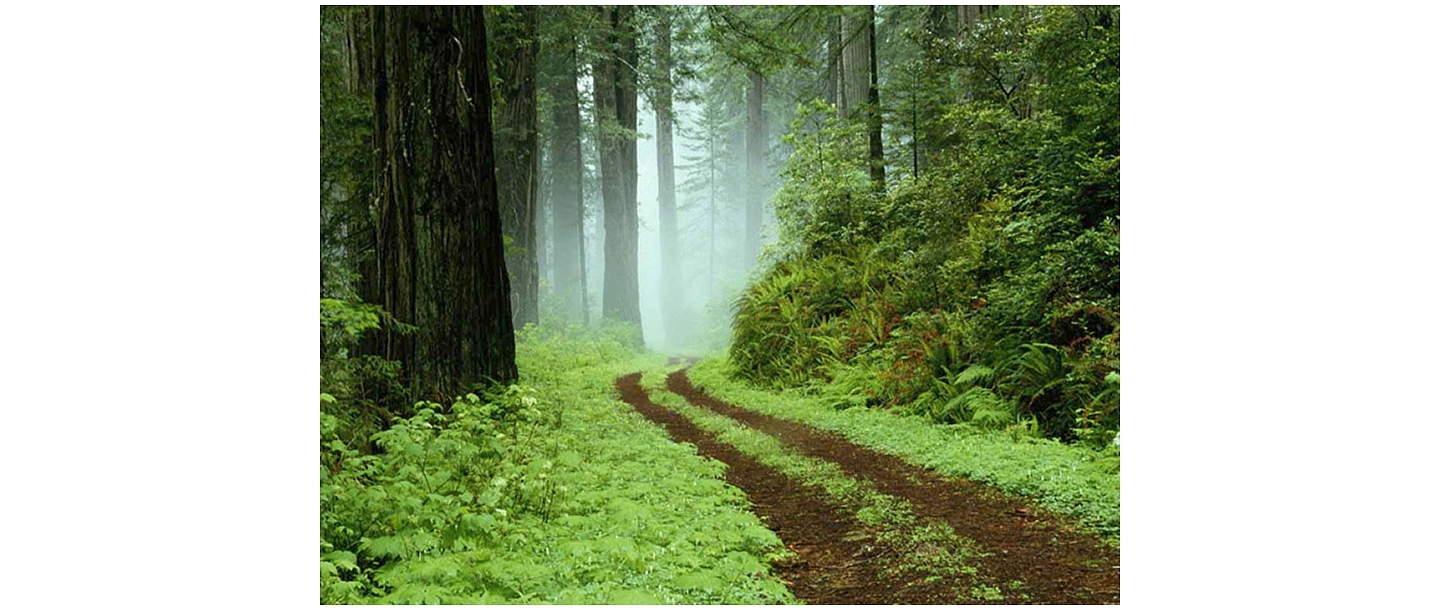 Tiber hauler services