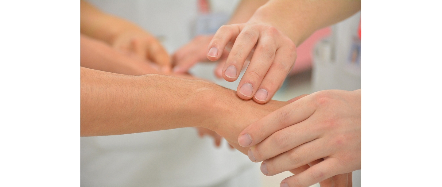 Ineses Lejnieces ģimenes ārsta prakse