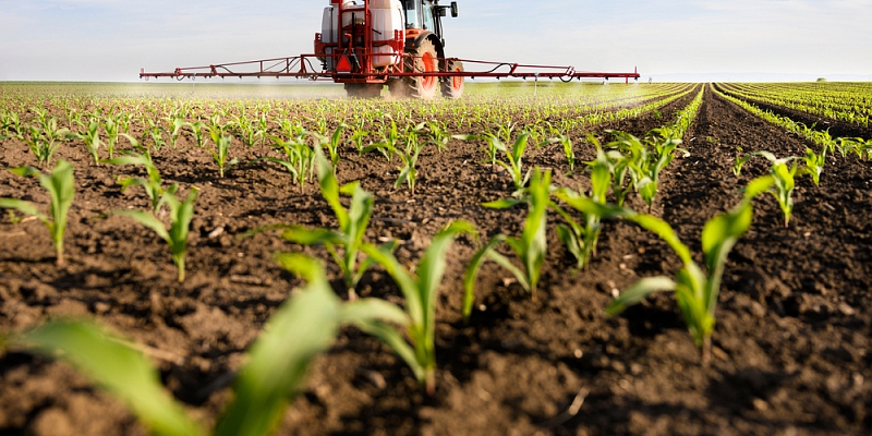 Pesticīdi lauksaimniecībā – jā vai nē?