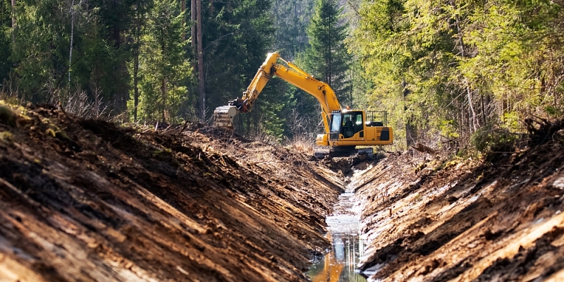 Kvalitatīva meža infrastruktūra – kvalitatīvs mežs