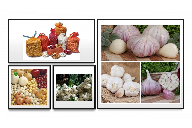Onions and garlic for planting
