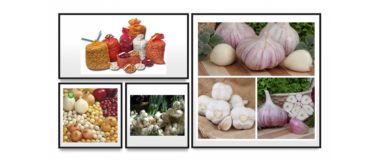 Лук и чеснок для посадки