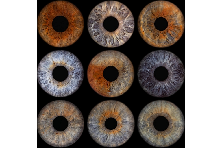 A rainbow of beautiful and unique eyes