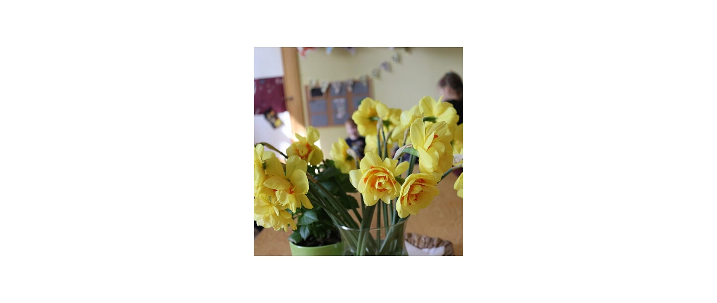 Школа для малышей Пога