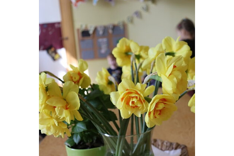 School for little ones Poga