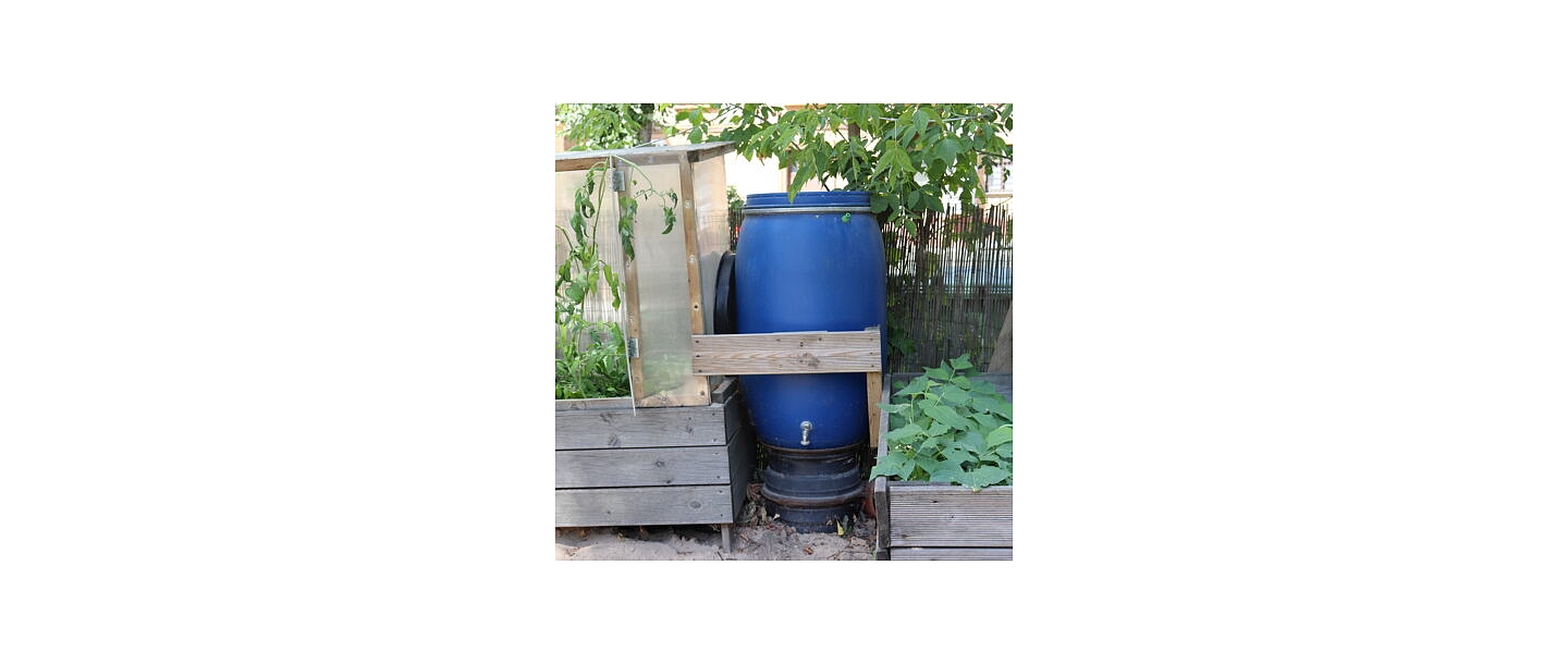 School for little ones Poga