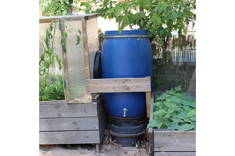 School for little ones Poga