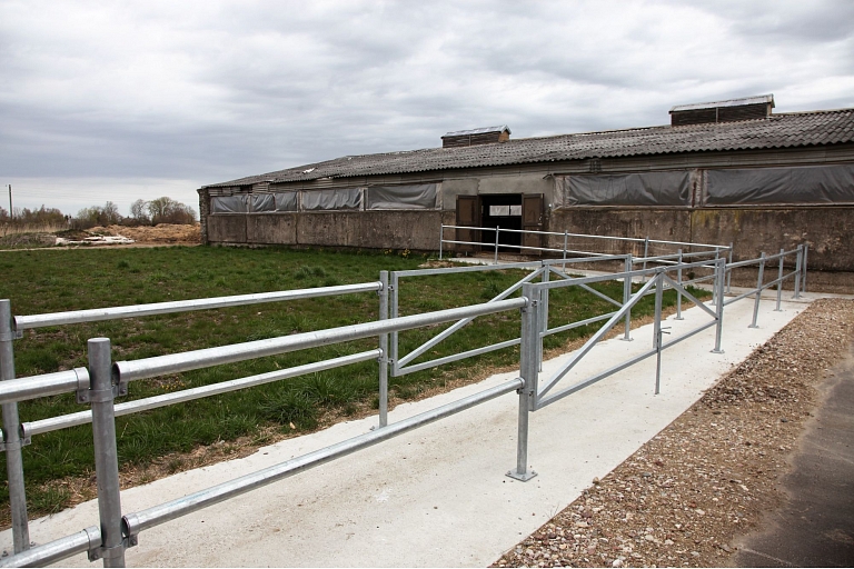 Dairy factory in Kurzeme