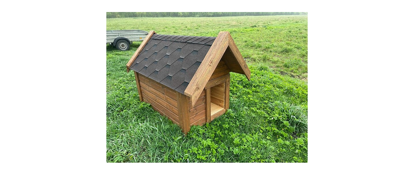 Dog house