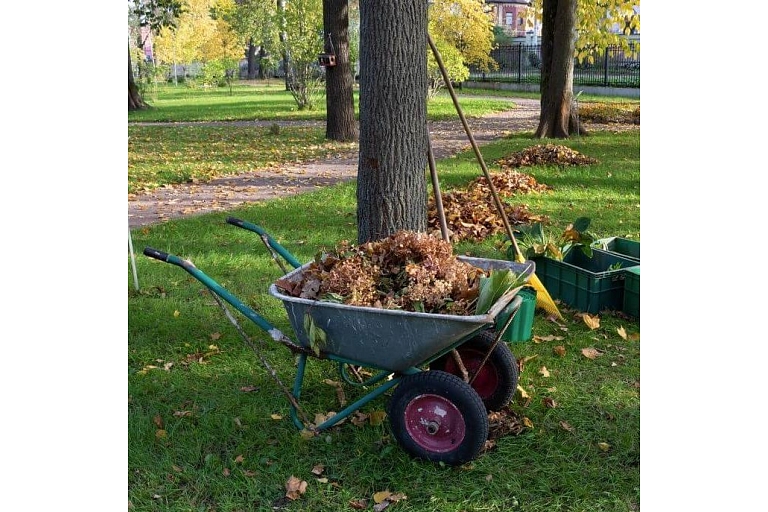 territory cleaning