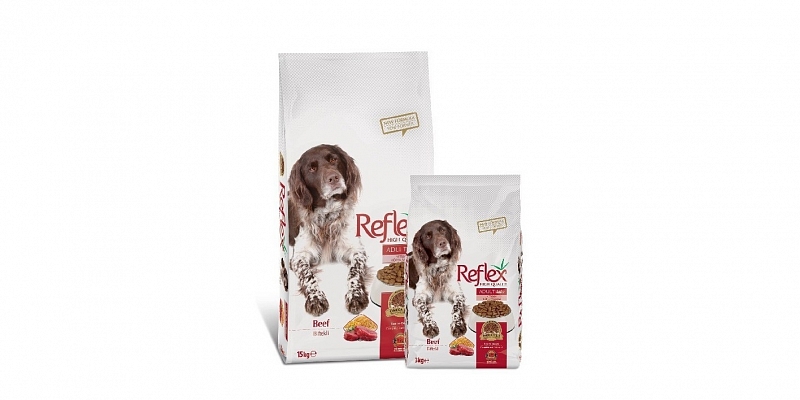 Dog food