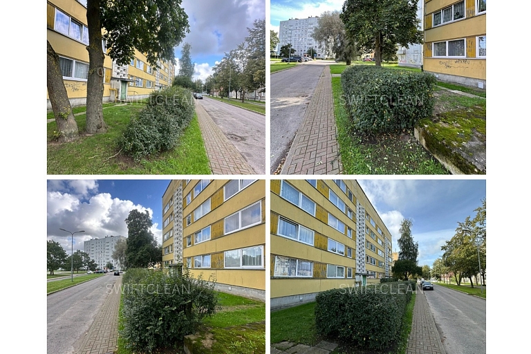 Shrub trimming and landscaping in urban environments