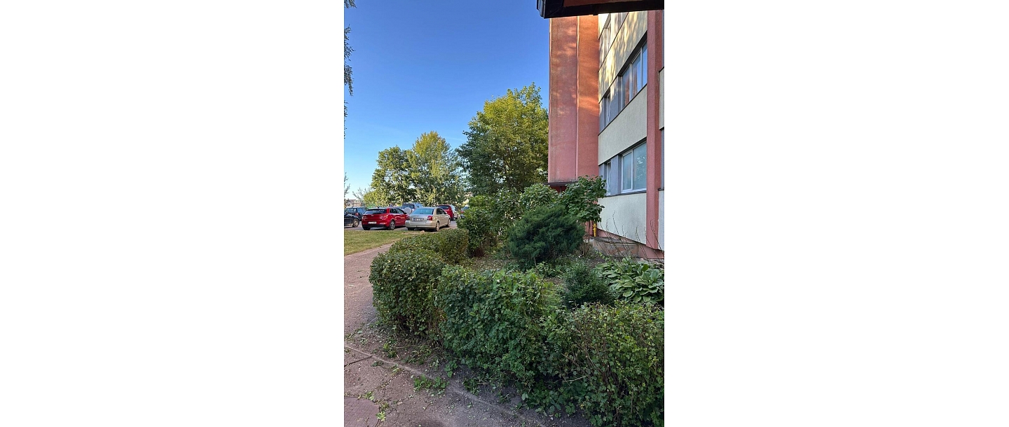 Rejuvenating green areas and thinning bushes with SwiftClean