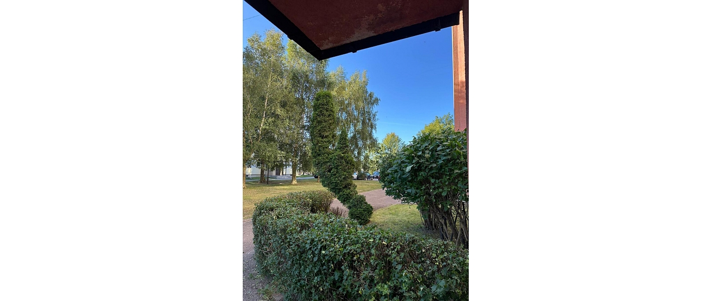 Caring for ornamental shrubs and trees for a clean environment