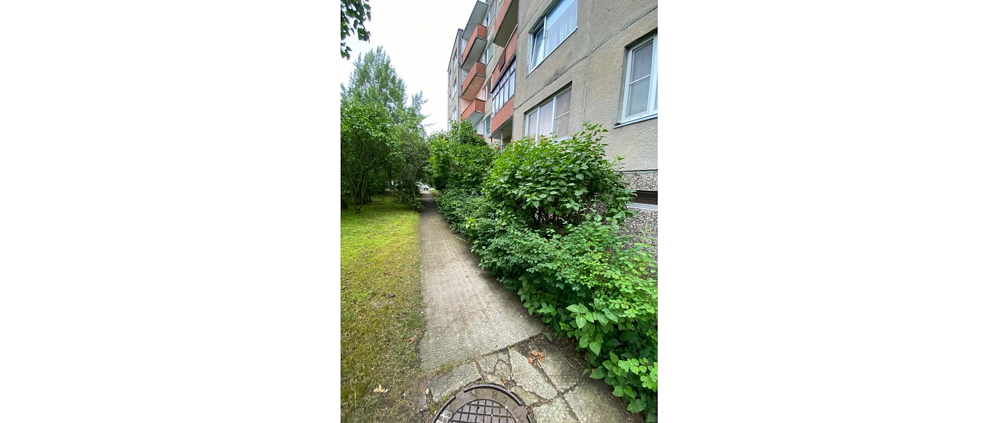 Trimming overgrown bushes and clearing paths with SwiftClean