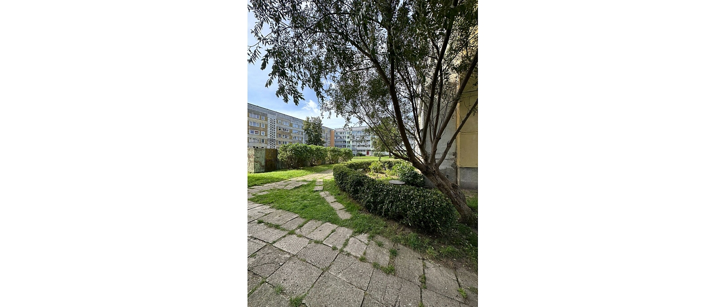 Cleaning of courtyards and green areas for apartment buildings
