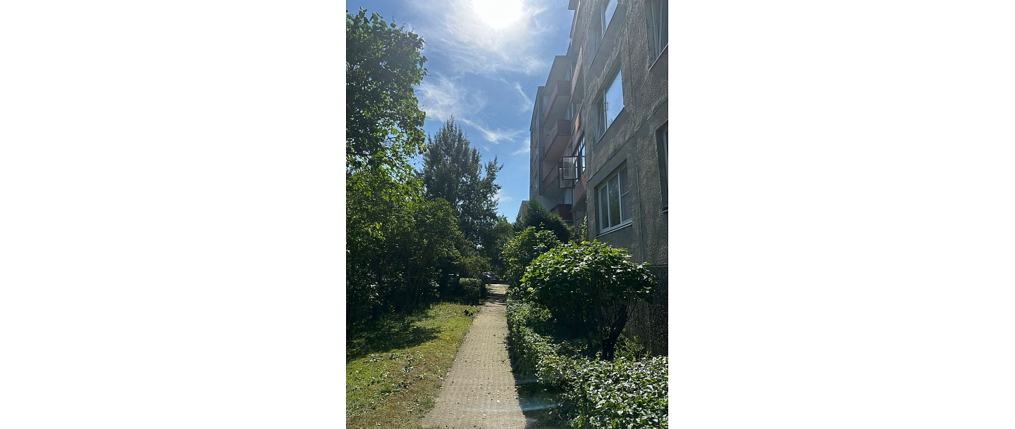 Maintenance of shrubs and greenery in residential areas