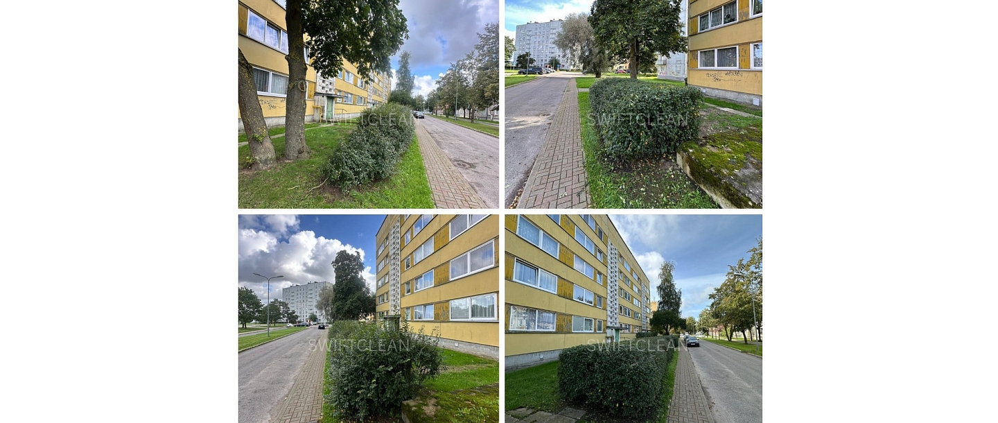 Shrub trimming and landscaping in urban environments