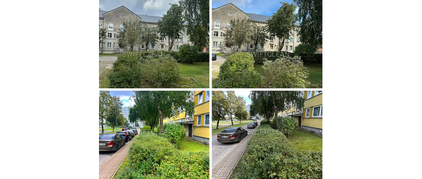 Tree and green area care with a professional approach