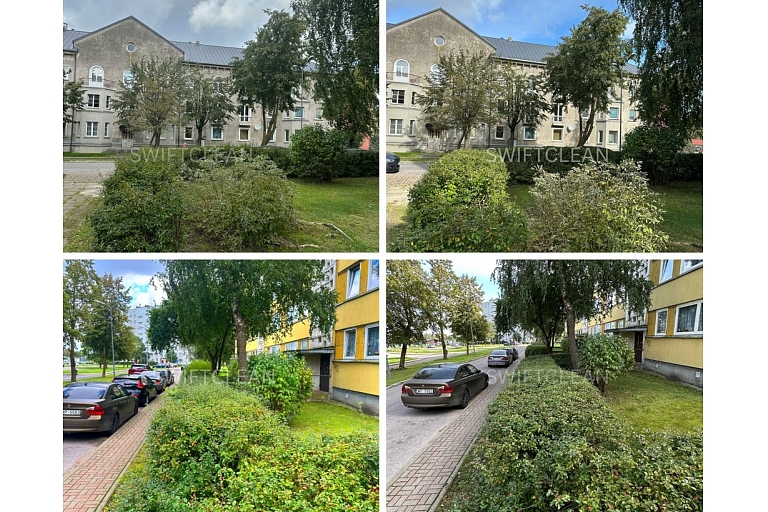 Tree and green area care with a professional approach