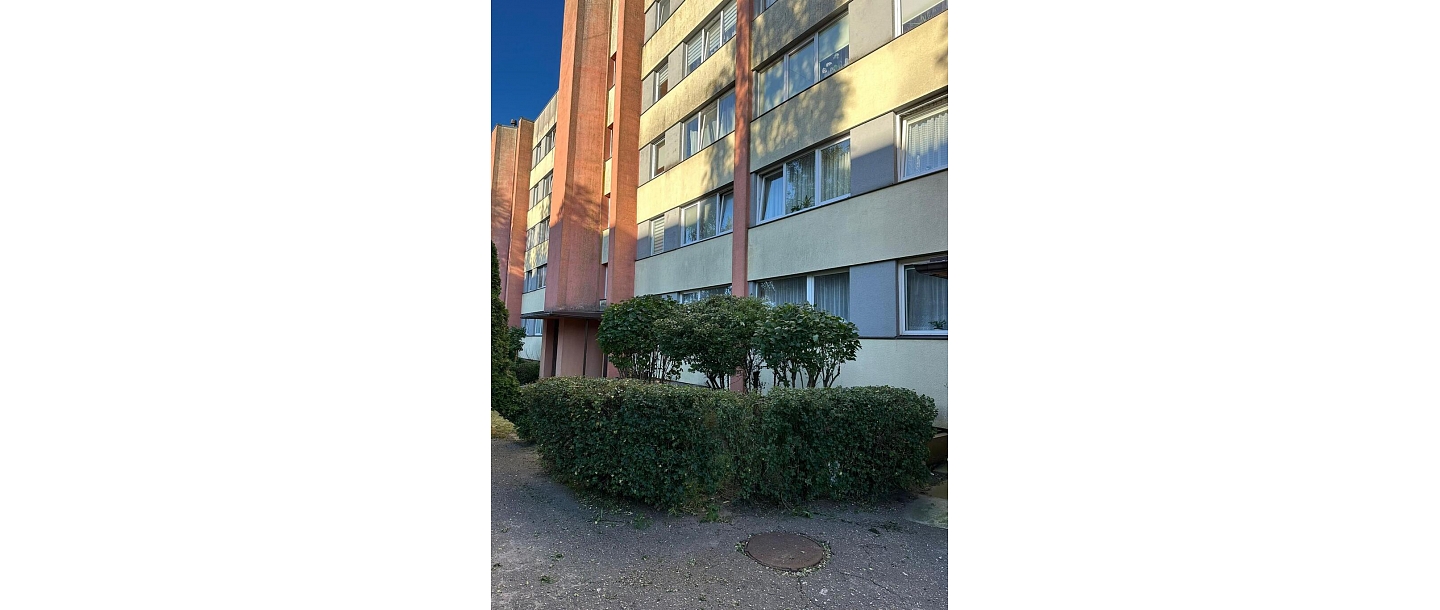 Teritorijas sakopšana un pagalma tīrīšana ar SwiftClean