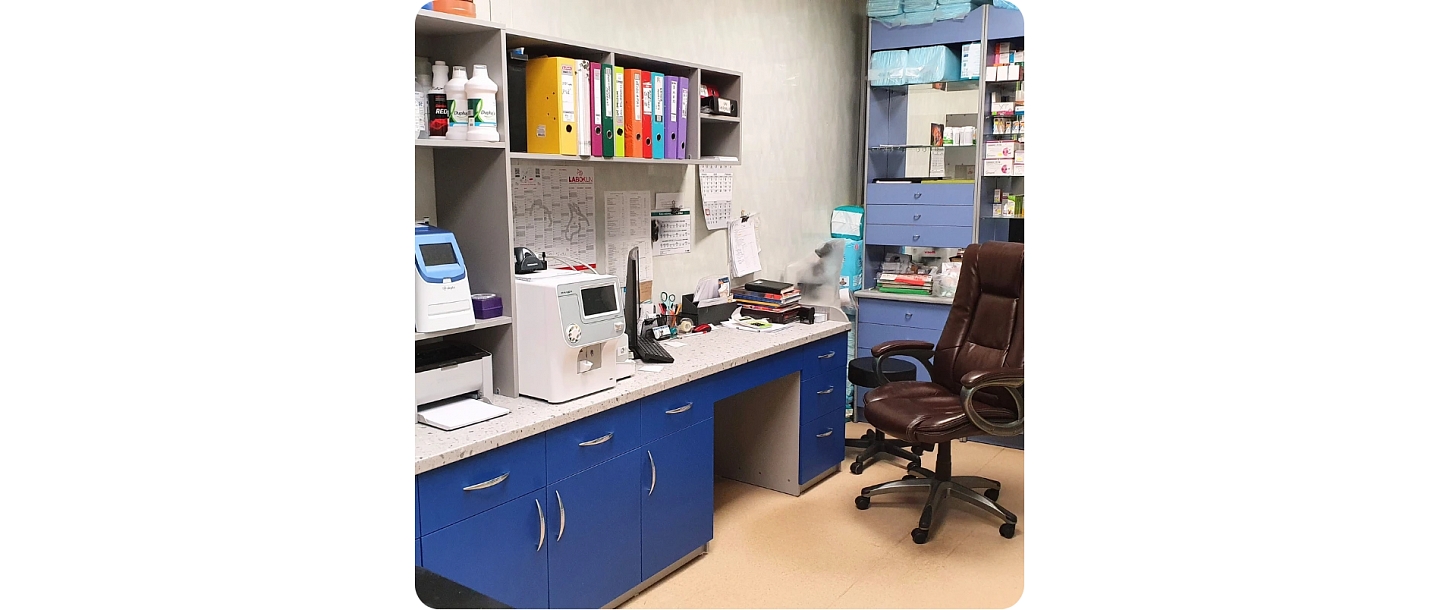 Veterinary clinic equipment and laboratory area for animal examinations