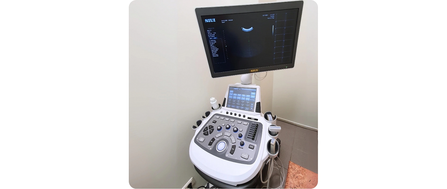 Ultrasound machine for animals