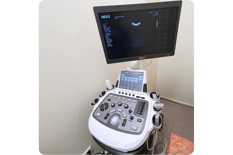 Ultrasound machine for animals