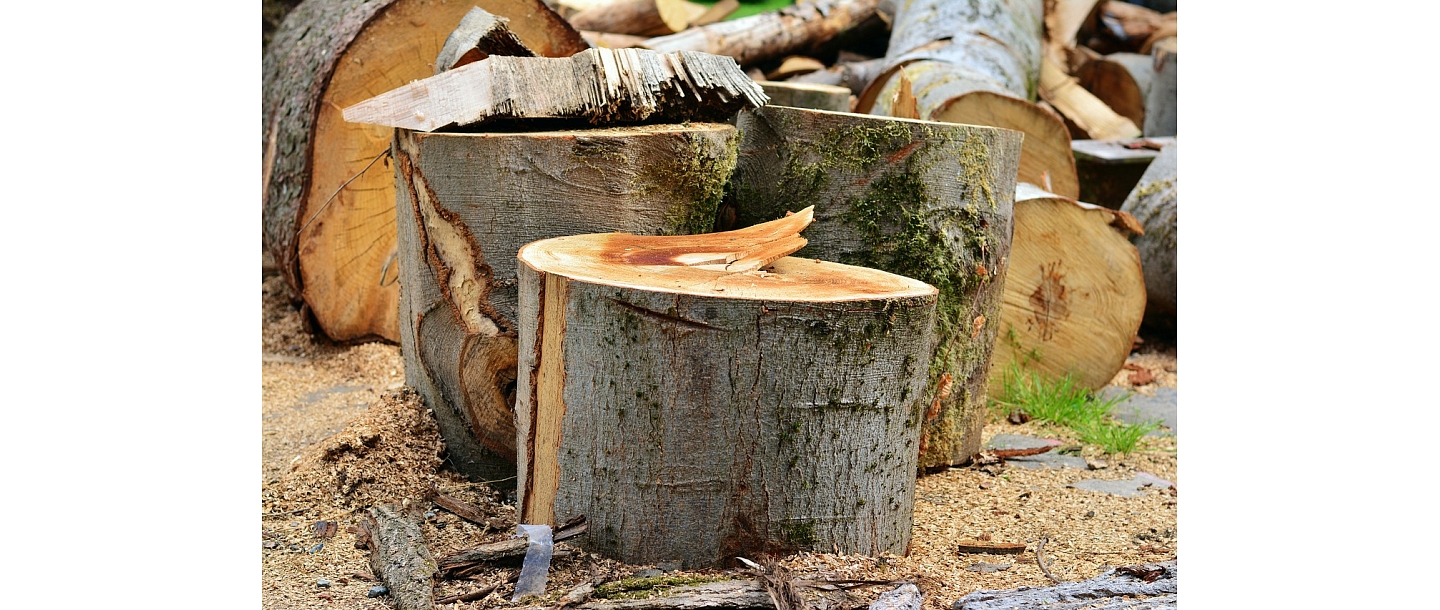 Tree cutting in hard to reach places