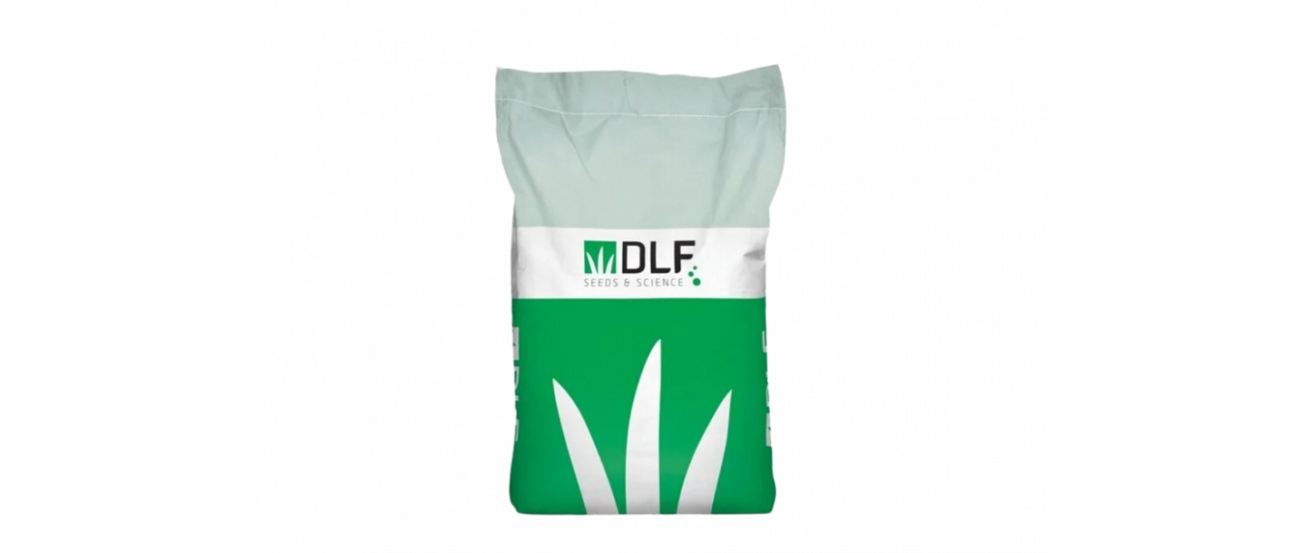 Профессиональные семена DLF