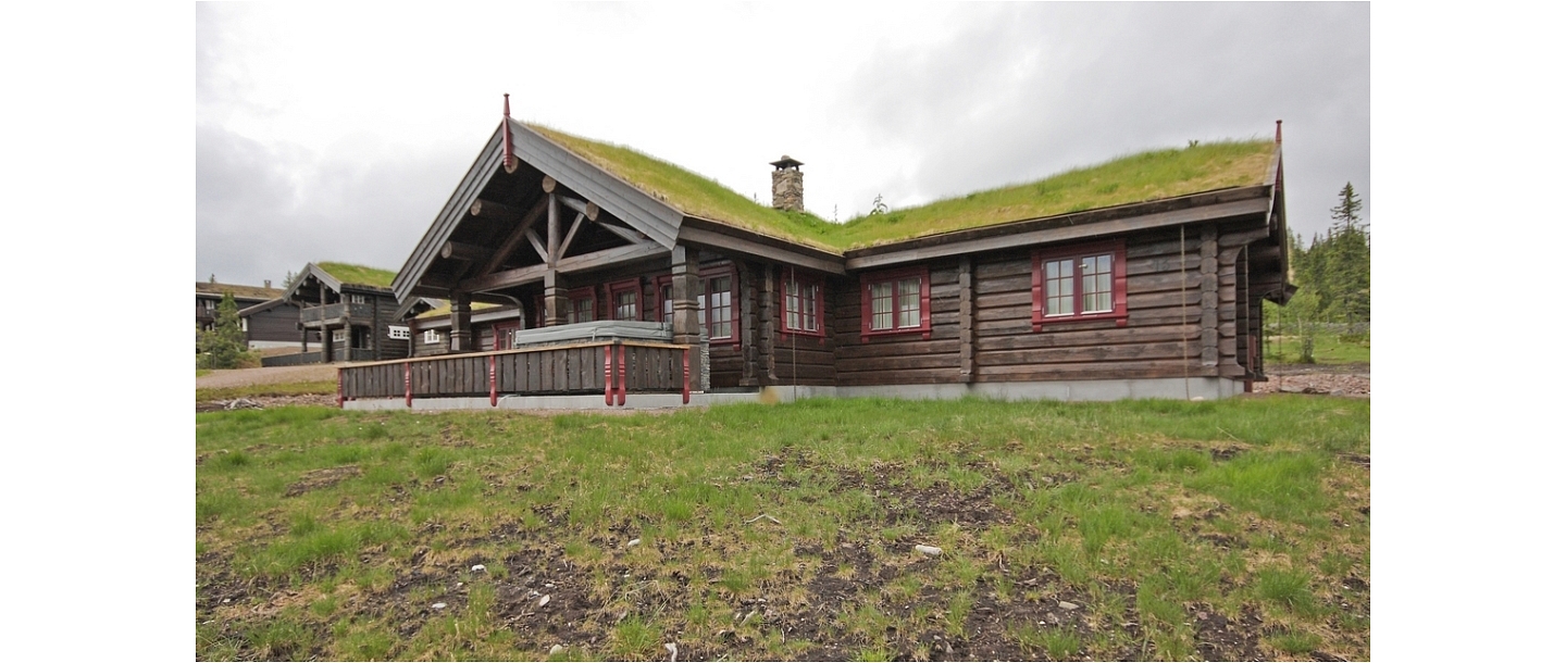 Log buildings made of solid pine wood