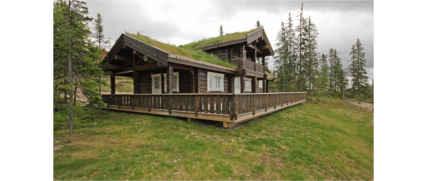 Log buildings made of solid pine wood