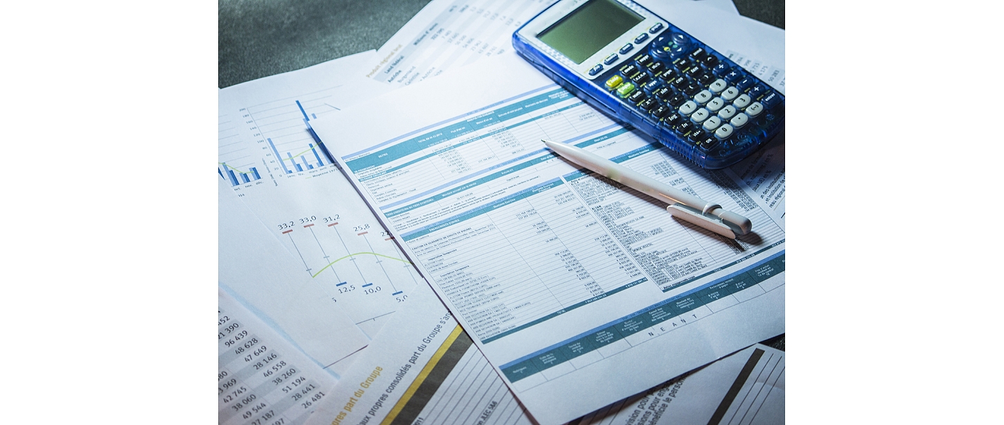 VD Accounting, The LLC ensures accurate financial records on a daily basis, working with reports, graphs and detailed calculations.