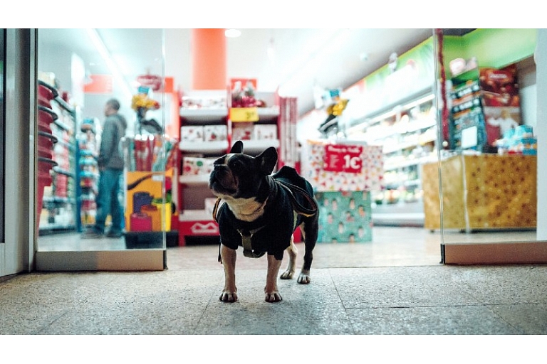Veterinārā klīnika un veikals